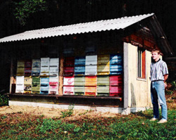 Čebelarstvo BUKŠEK Vili iz Rogatca