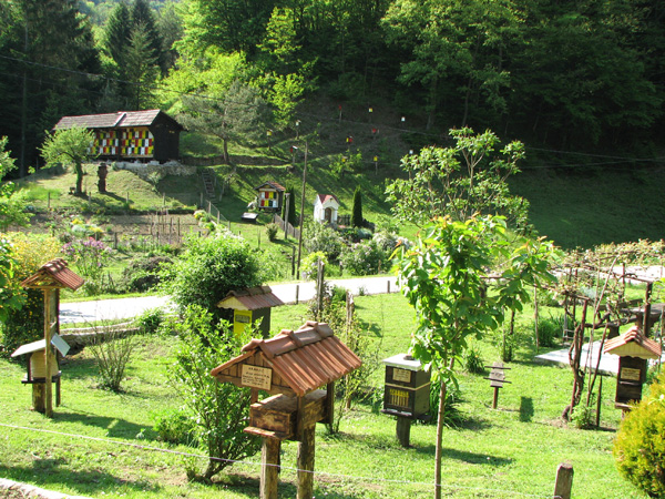 Pogled na družinsko čebelarstvo