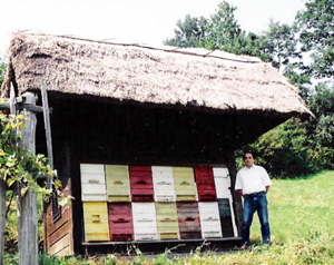 Čebelarstvo POSL Vlado iz Rogatca