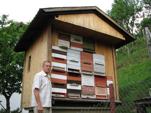 Čebelarstvo REBIČ Anton iz Rogatca