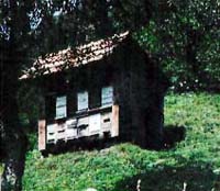 Naš stari čebelnjak