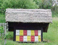 Čebelnjak v muzeju Rogatec