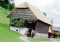 Štala - Hlev - gospodarsko poslopje